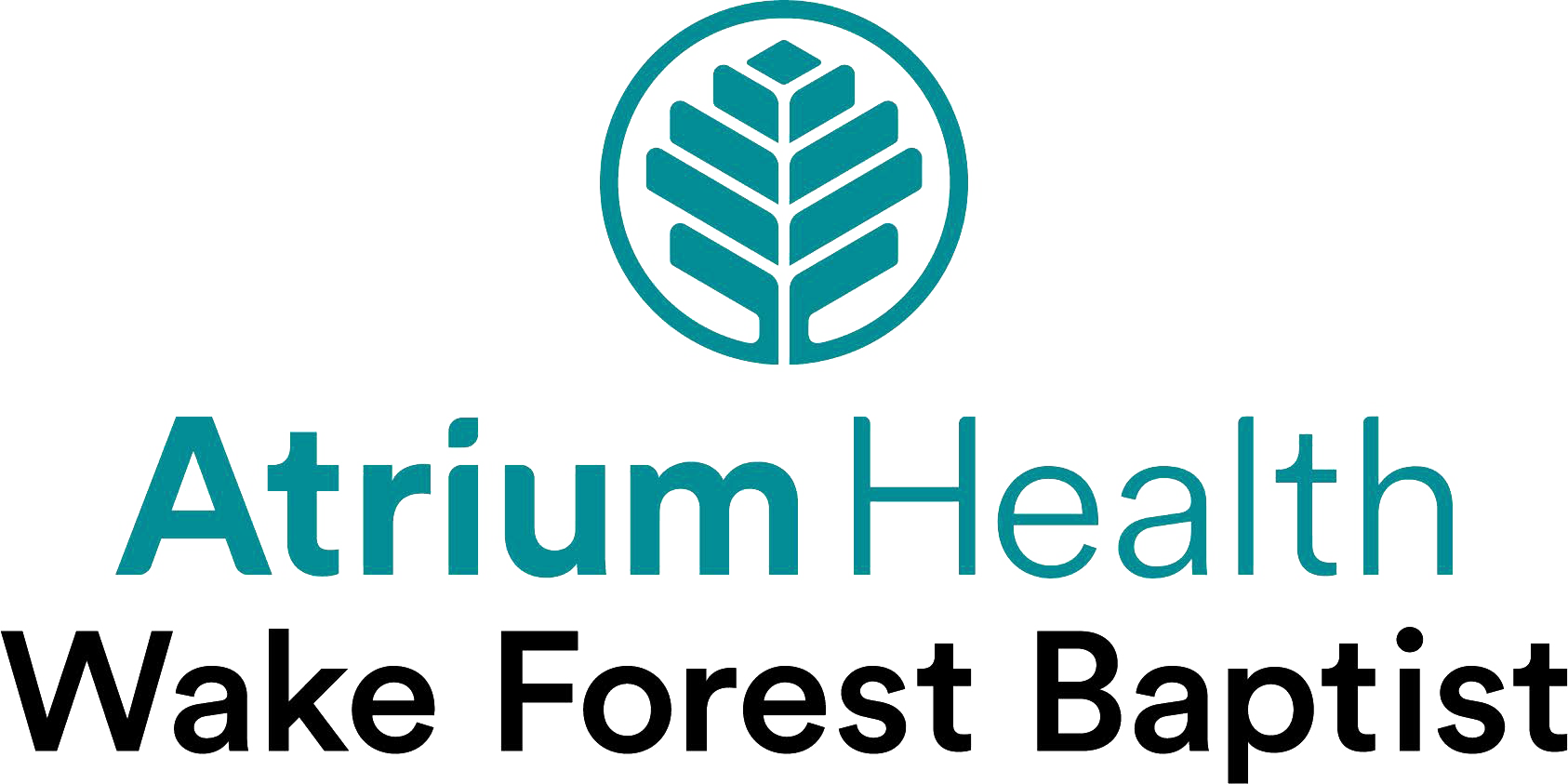 Atrium_wake_forest