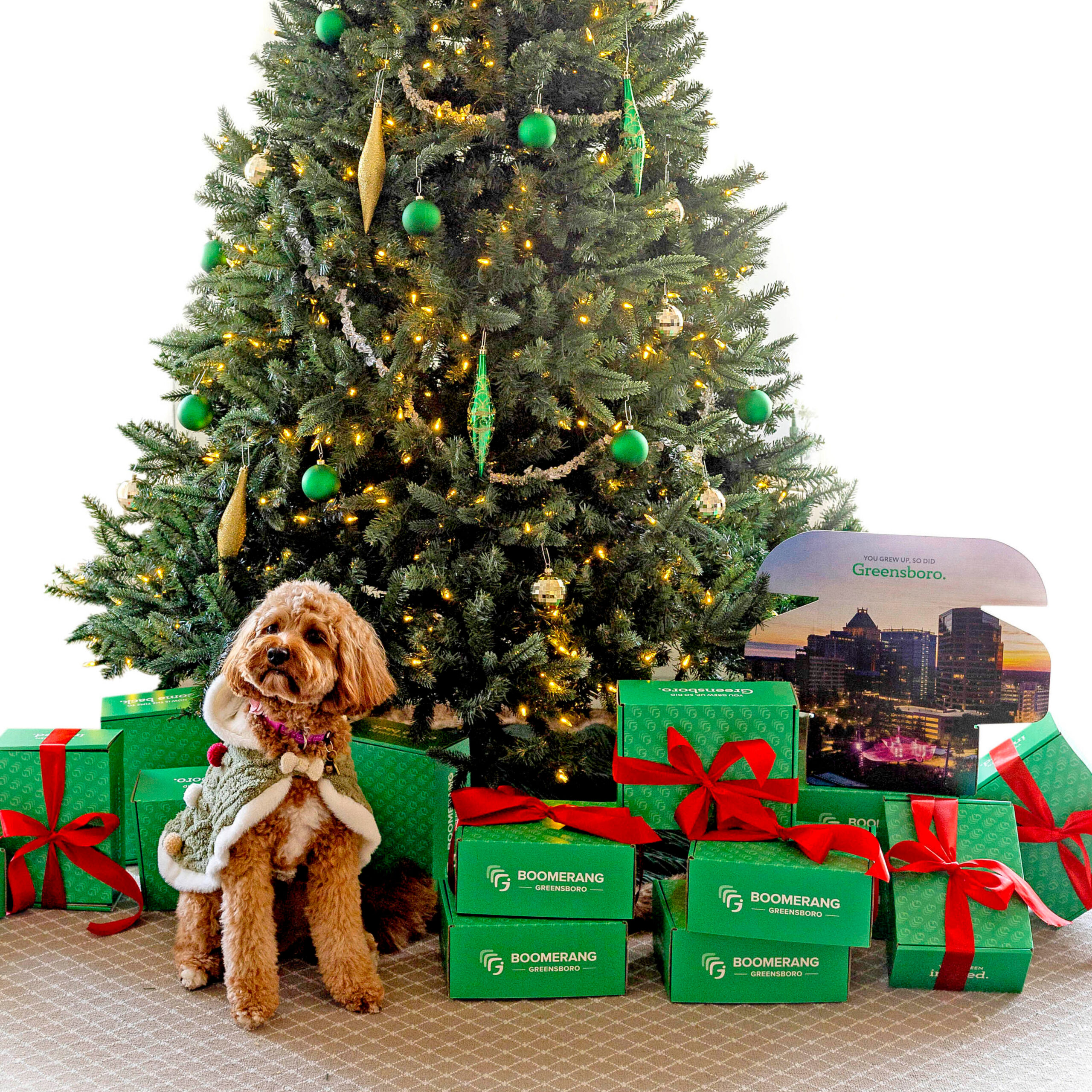 Boomerang_Holiday2024_1080x10803